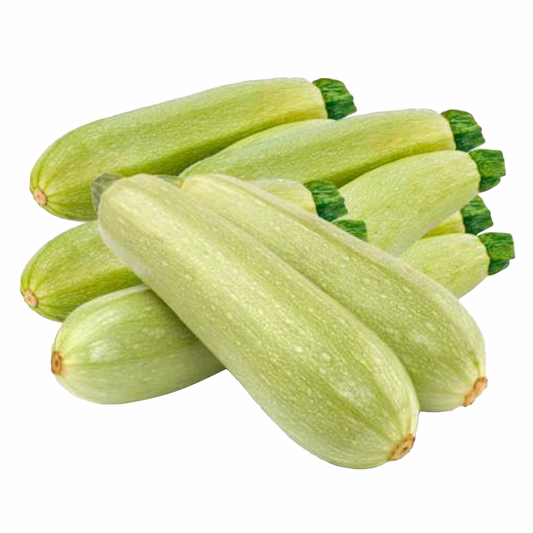 Marrow UAE 500g