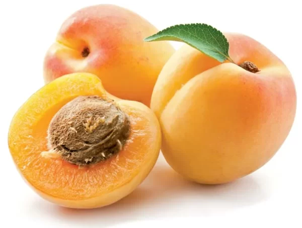 Apricot Uzbekistan 1 KG